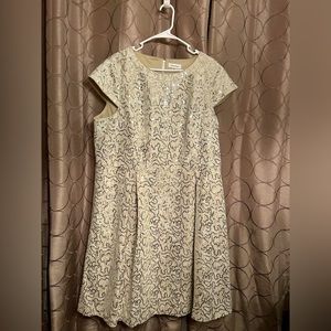Never been worn Calvin Klein dress. Size 18W. Color  cream and silver sequins.